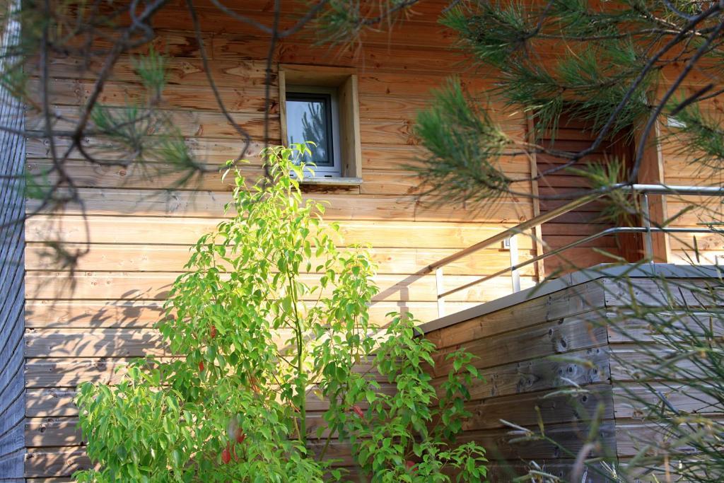Residence Cala Sultana Porto-Vecchio  Buitenkant foto